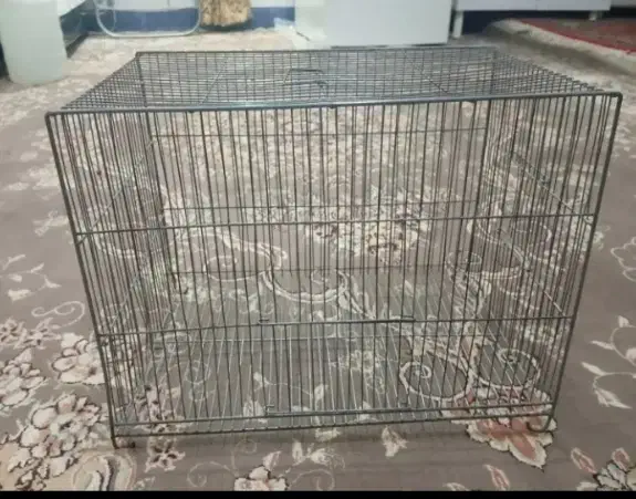 قفس|لوازم جانبی حیوانات|بروجن, |دیوار