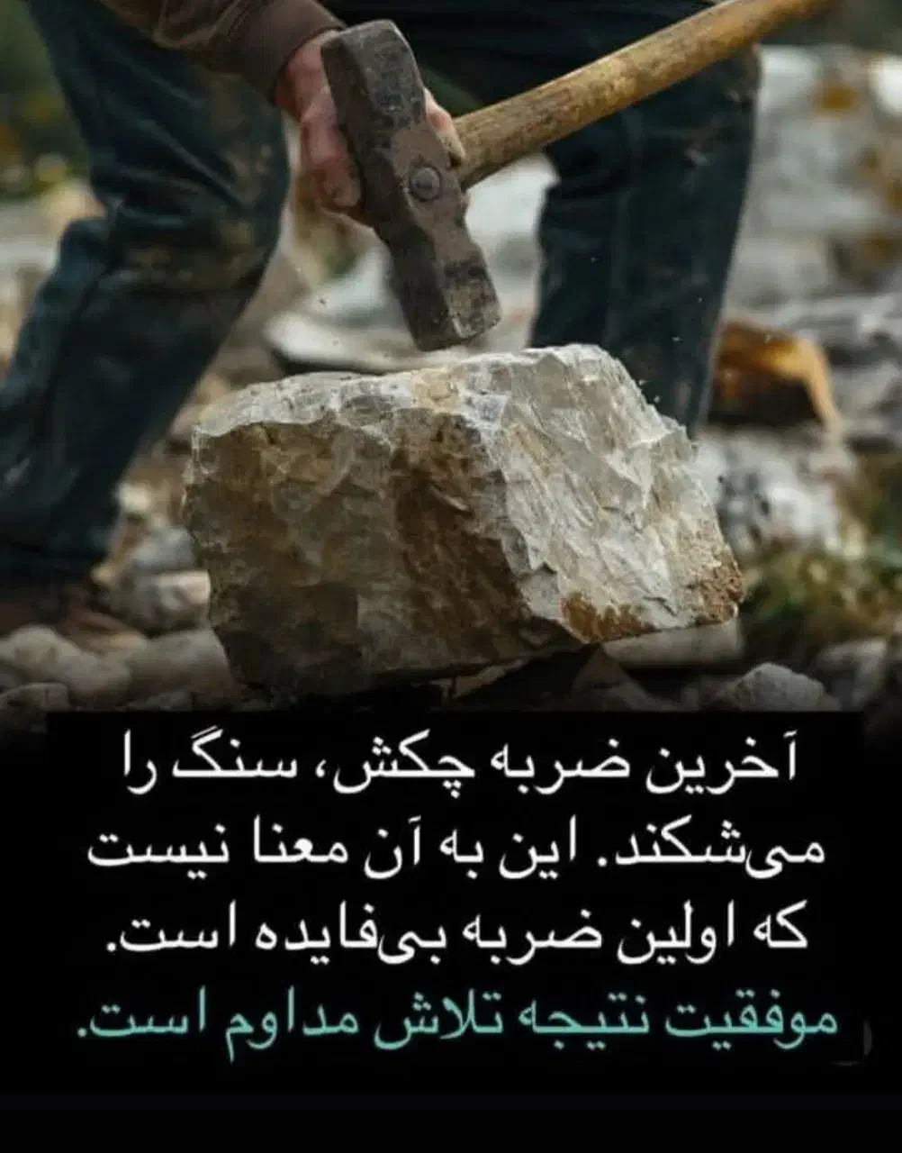 راهنمایی کار|فعالیت داوطلبانه|بندر ماهشهر, |دیوار