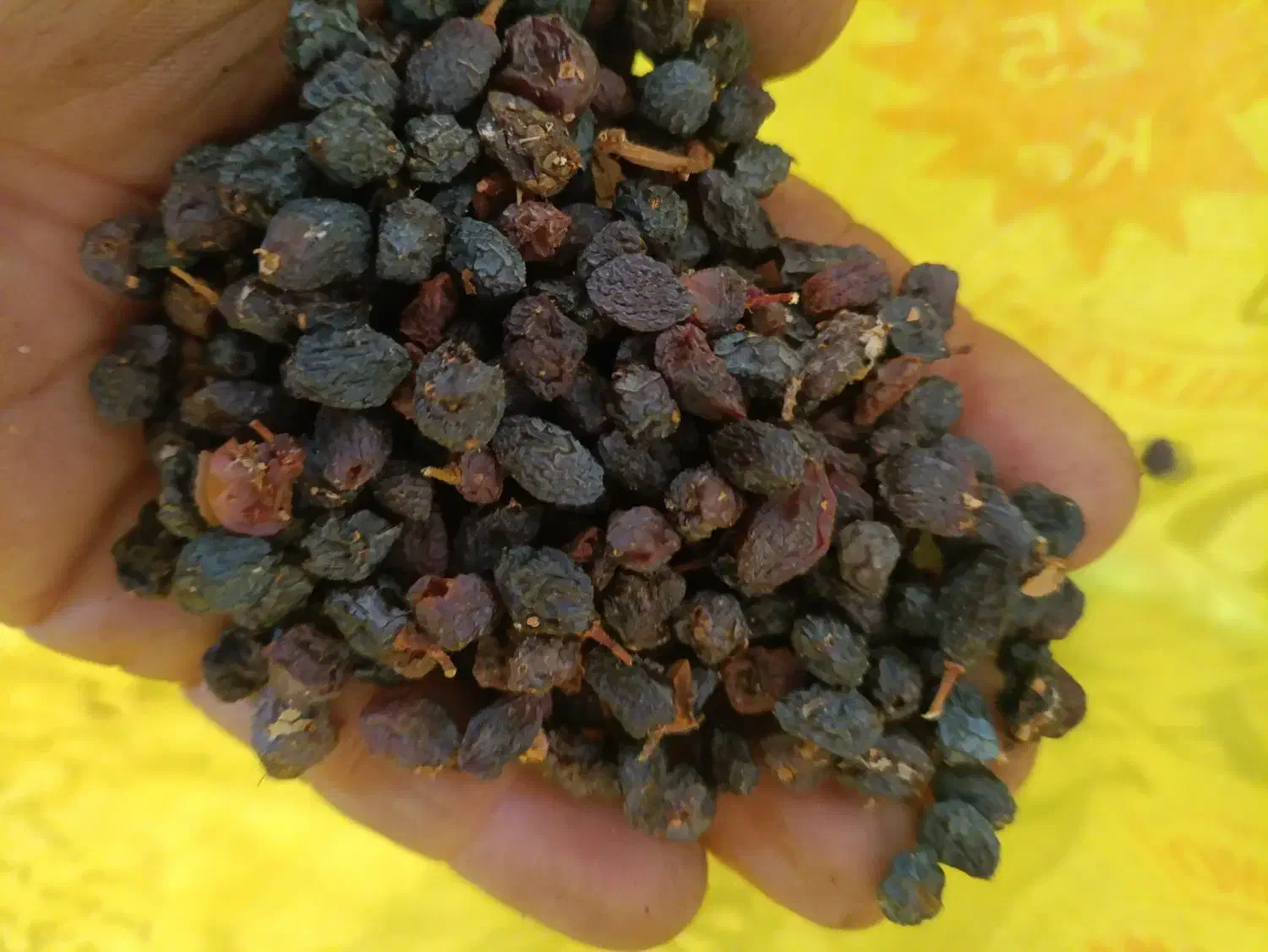 کشمش|خوردنی و آشامیدنی|ساوه, |دیوار