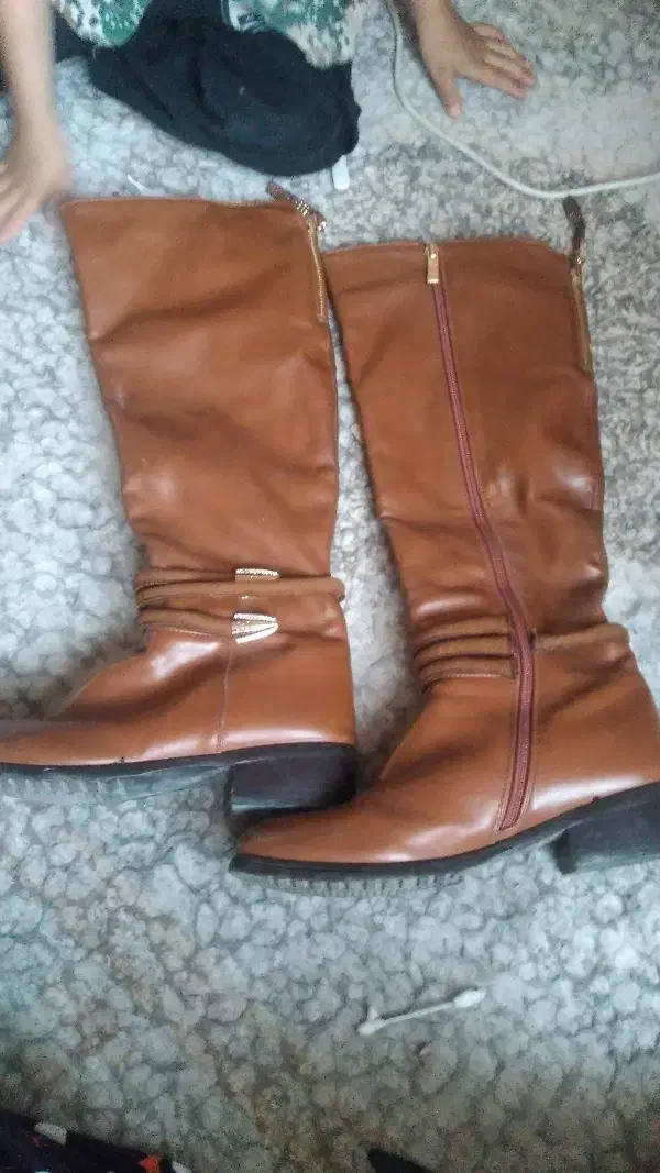 چکمه|کیف، کفش، کمربند|کرمان, |دیوار