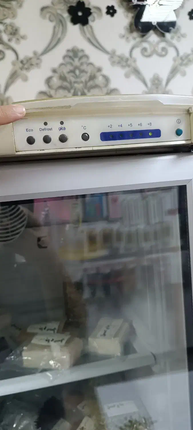 فریزر و یخچال|یخچال و فریزر|بردسکن, |دیوار