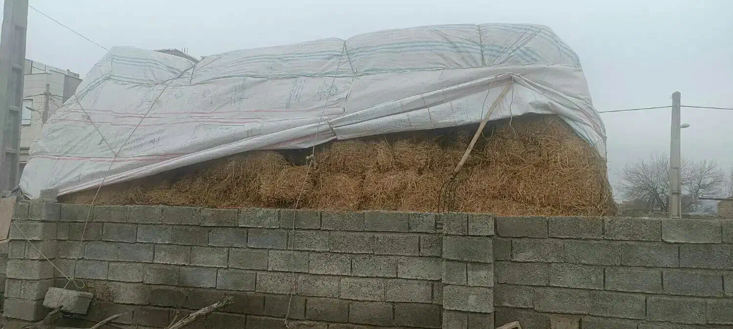 یونجه|عمده‌فروشی|پارس‌آباد, |دیوار