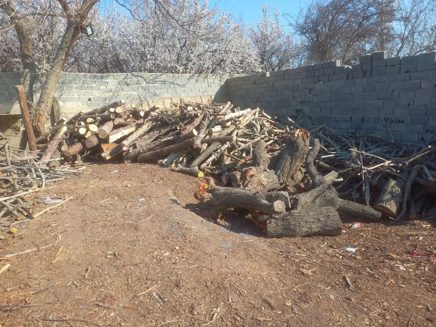 خریدار چوب هرس درختان|خدمات باغبانی و درختکاری|شهریار, کرد امیر|دیوار