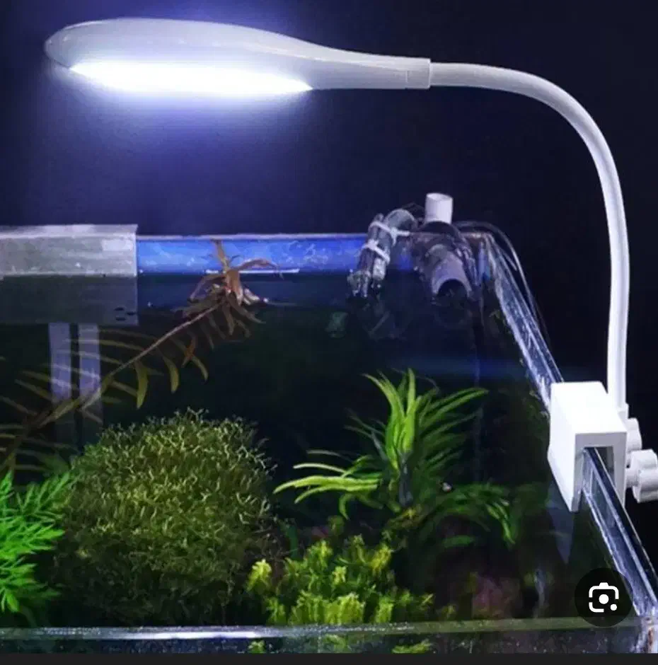 لوازم آکواریوم|ماهی|ری, دیلمان|دیوار