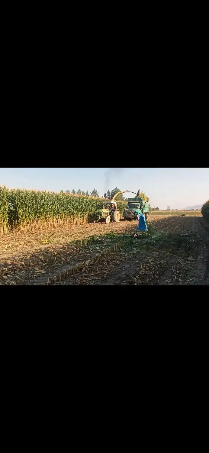 اجاره زمین گوجه|اجارهٔ دفتر صنعتی، کشاورزی، تجاری|مرودشت, رامجرد یک|دیوار