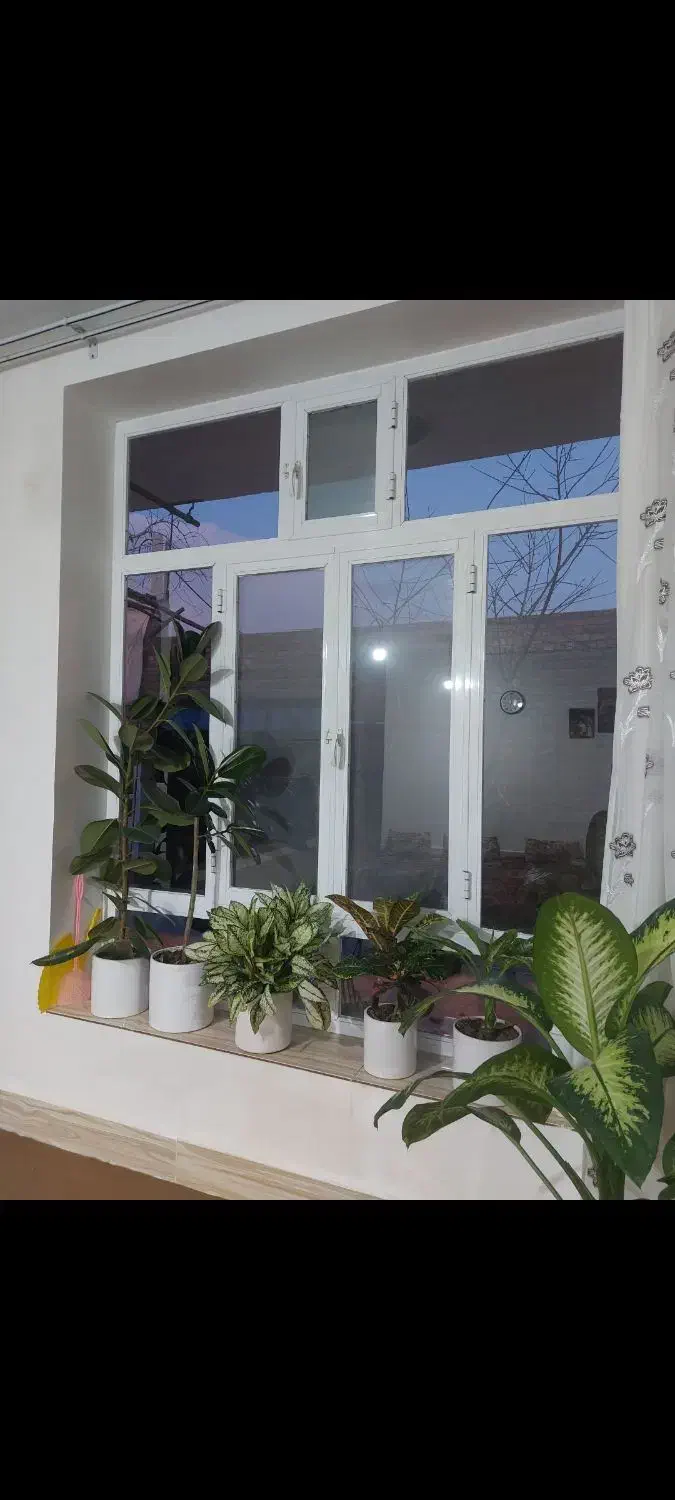 پنجره در حد نو|مصالح و تجهیزات ساختمان|آذرشهر, |دیوار