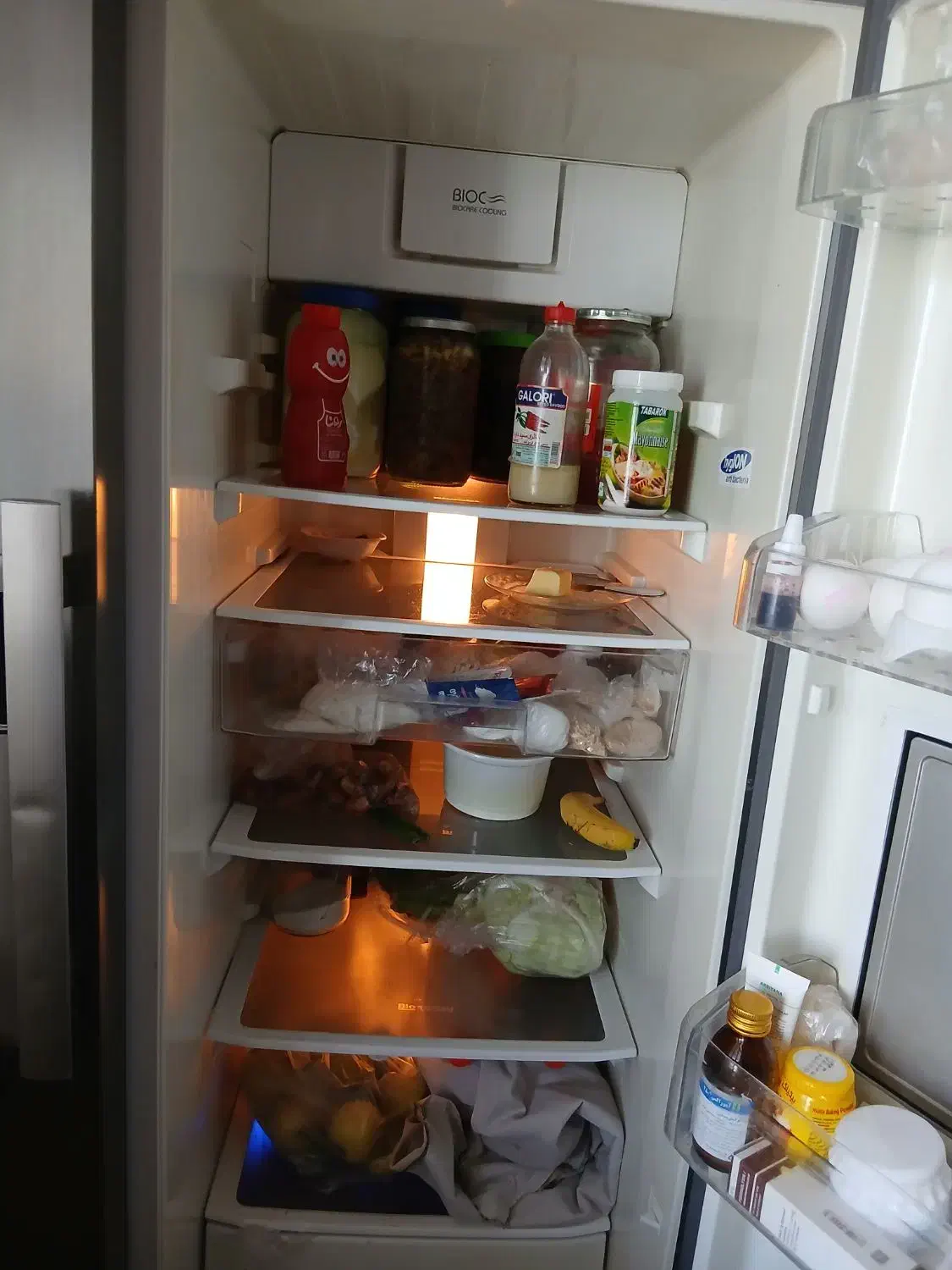 ساید|یخچال و فریزر|تربتحیدریه, پائین ولایت|دیوار