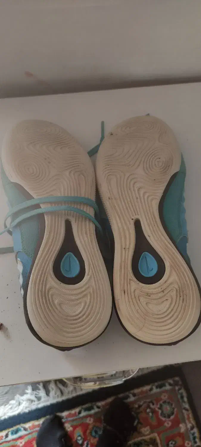 کفش فوتسال لونارگتو|تجهیزات ورزشی|ساری, |دیوار