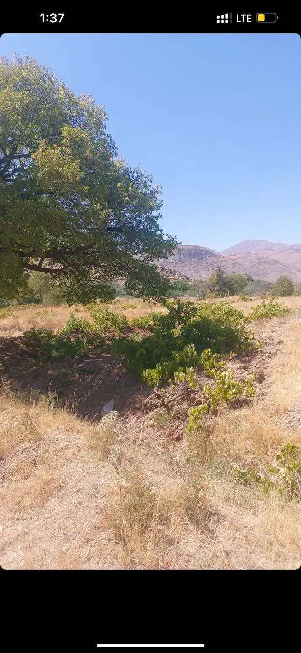 فروش یا معاوضه زمین ۱۰۰۰ متری بین فر و توره|فروش زمین و ملک کلنگی|زالیان, |دیوار