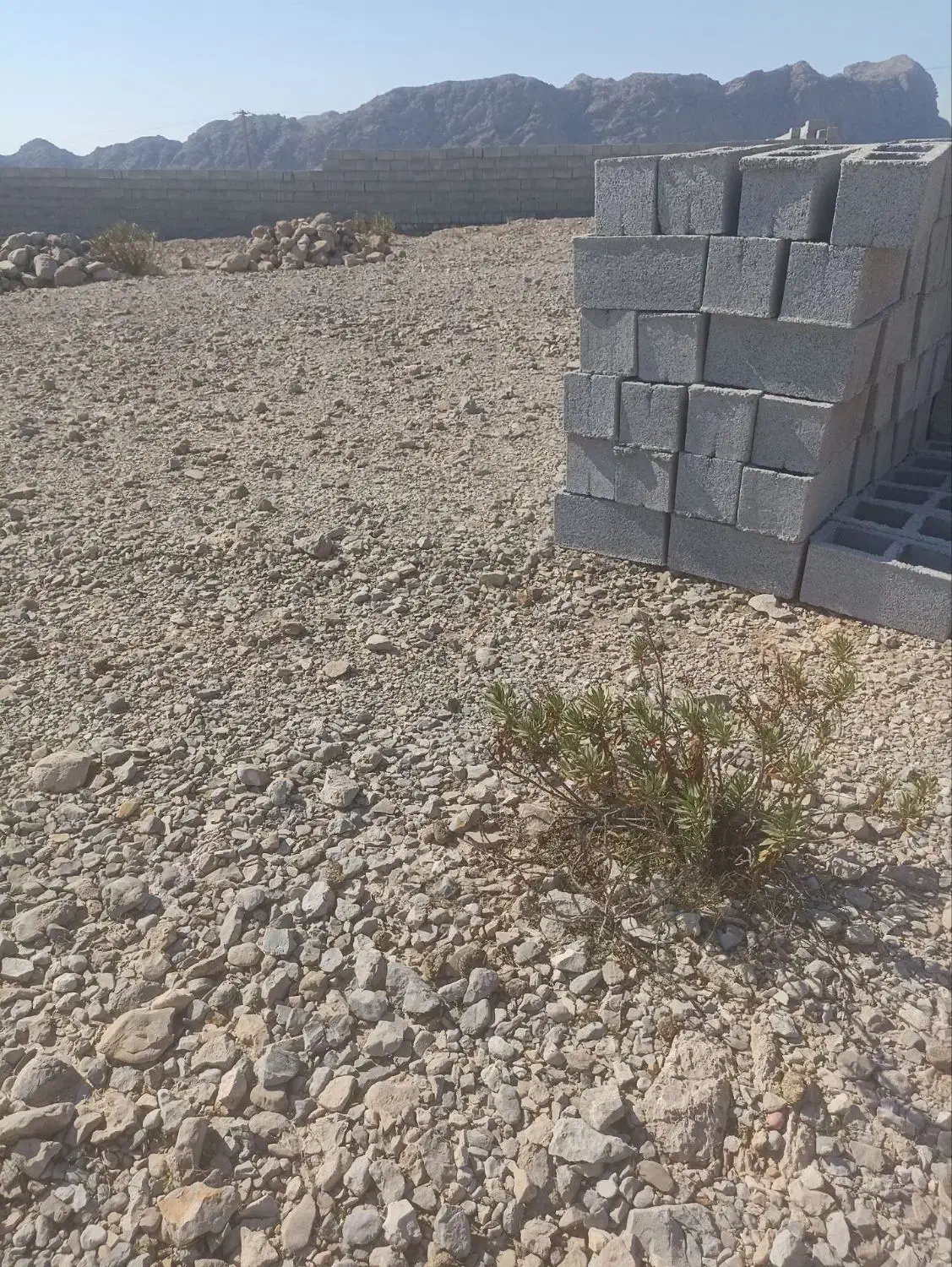 زمین روستای جغان|فروش زمین و ملک کلنگی|تخت, |دیوار