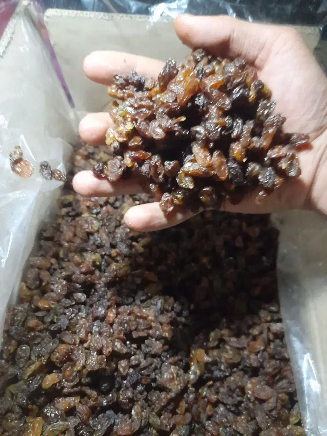 تخصصی کشمش آبگیری (گله)خلیل آباد کاشمر ،جزیی کلی|خوردنی و آشامیدنی|مشهد, هدایت|دیوار