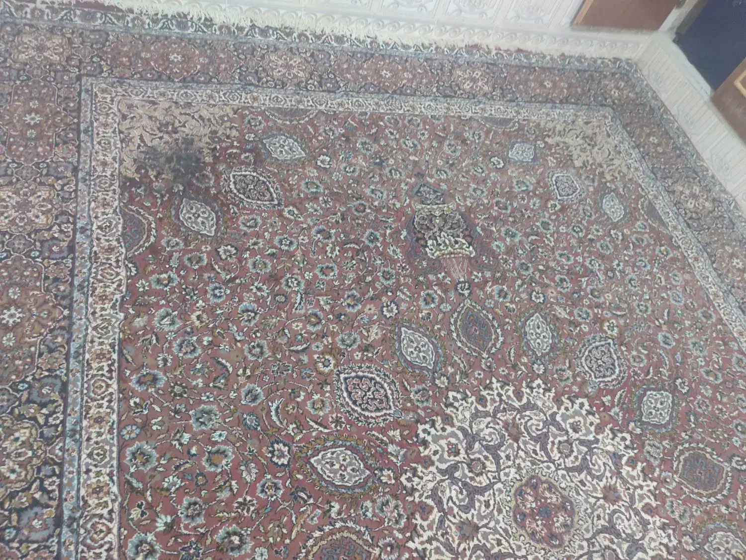 فرش 12متری|فرش|شیراز, دست خضر|دیوار