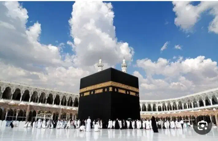 فیش عمره|تور و چارتر|بیرجند, |دیوار