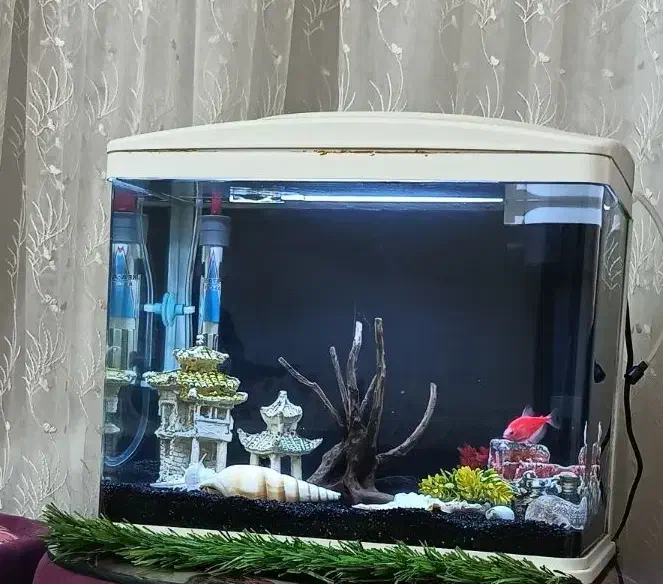 اکواریوم مکانیزه فول‌ وسایل|ماهی|یزد, |دیوار