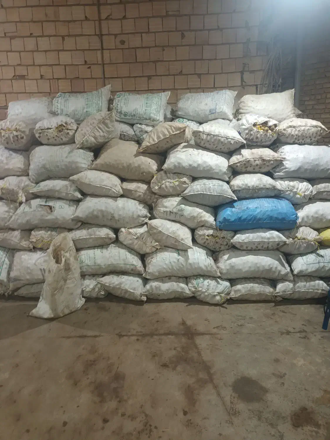 خوراک دام|لوازم جانبی حیوانات|مهربان, |دیوار