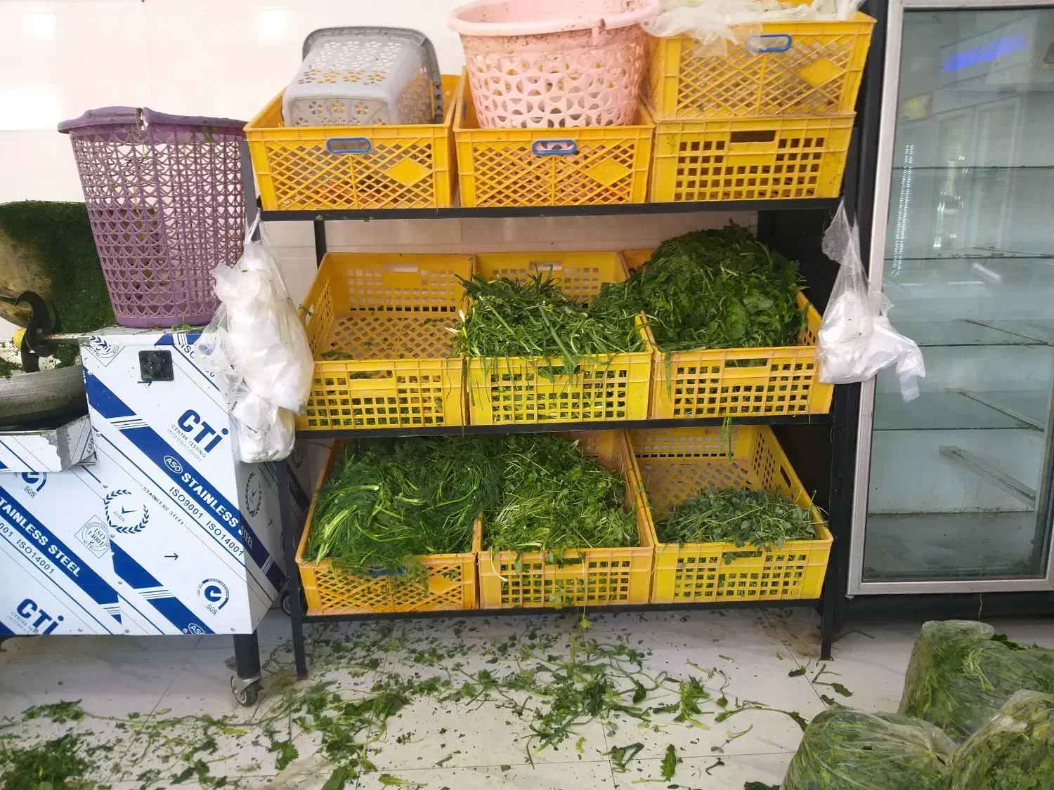 فروشندگی|استخدام خدمات فروشگاه و رستوران|قم, باغ شریفی|دیوار