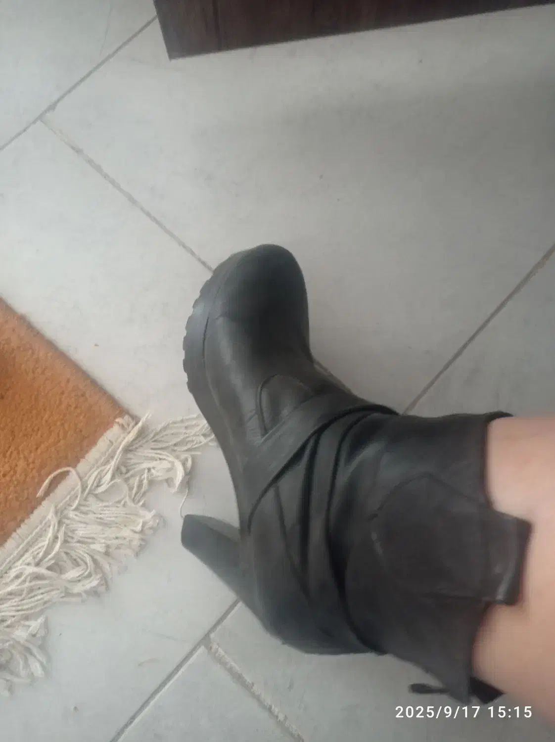 کفش مجلسی|کیف، کفش، کمربند|دلیجان, |دیوار