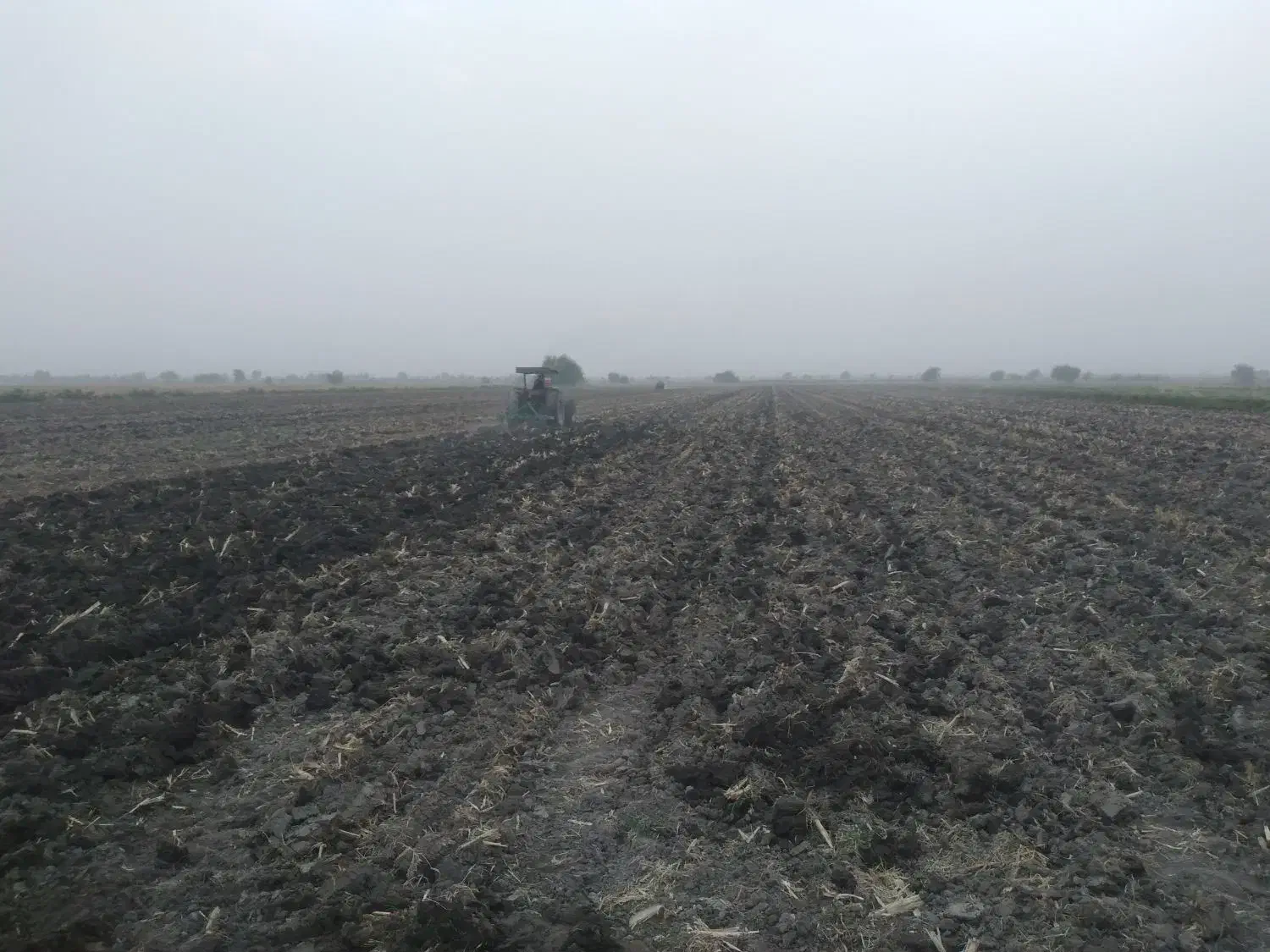 فروش زمین کشاورزی ملکی سند تک برگ|فروش دفتر صنعتی، کشاورزی، تجاری|اندیمشک, |دیوار