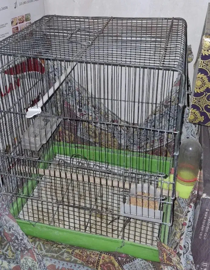 قفس|لوازم جانبی حیوانات|اصفهان, کوجان|دیوار