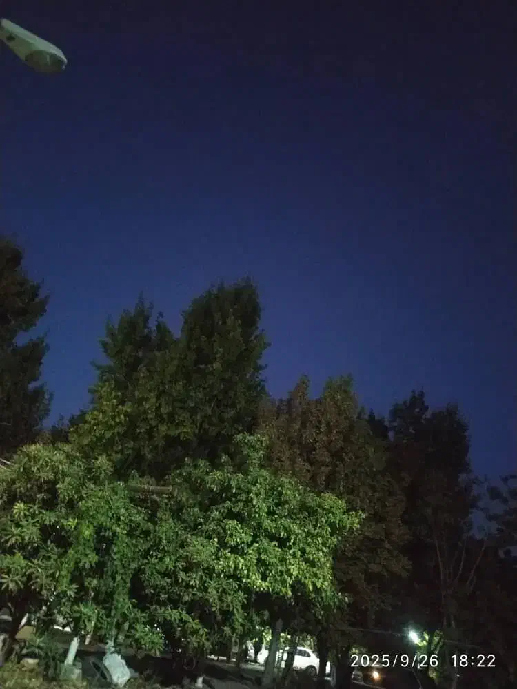 حرکت..حمل بار به شیراز با وانت دوکابین|خدمات حمل و نقل|جهرم, |دیوار