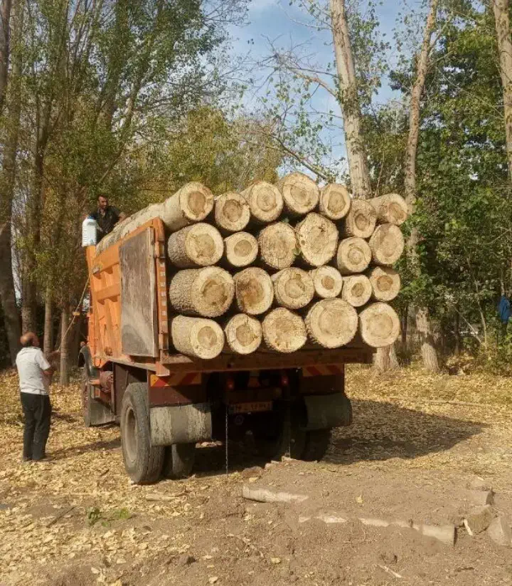 خرید نقدی چوب و درخت|خدمات باغبانی و درختکاری|میاندوآب, |دیوار