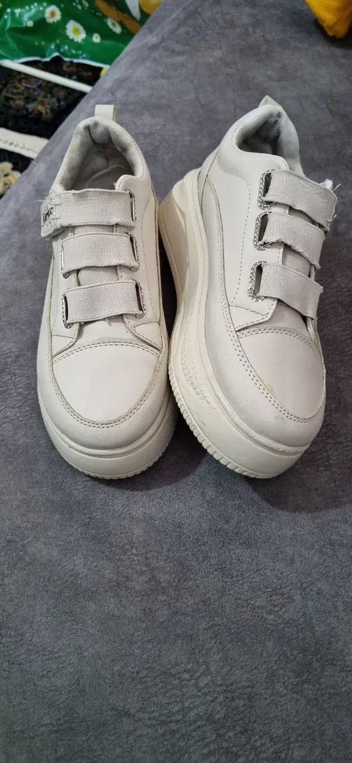 ونس چسبی|کیف، کفش، کمربند|قم, خداکرم|دیوار