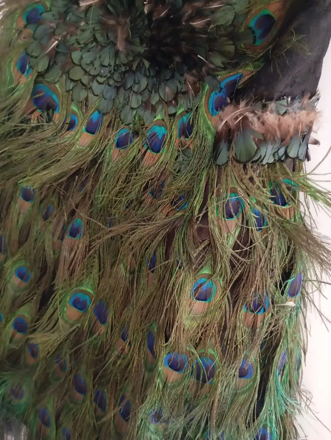 پیراهن طاووس|لباس|مشهد, هفده شهریور|دیوار