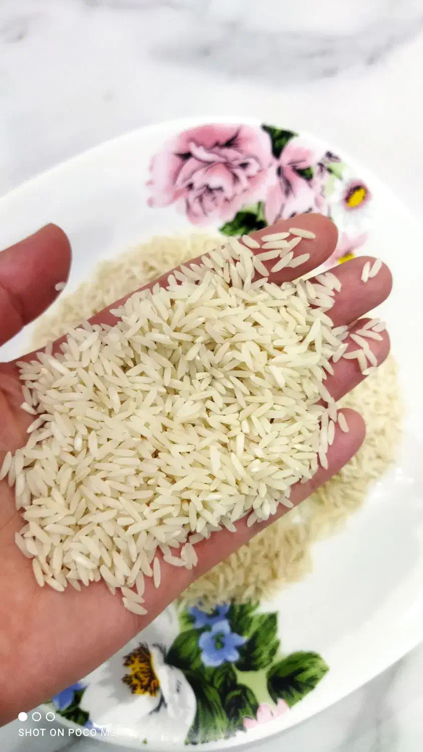 برنج هاشمی|خوردنی و آشامیدنی|الوند, |دیوار