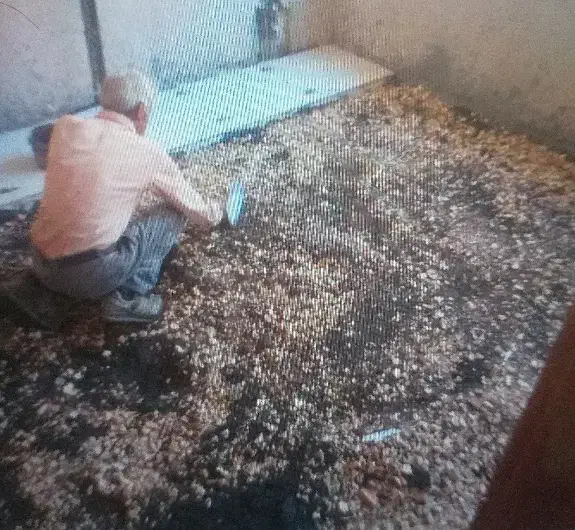 استا بنا  همه کاره|خدمات پیشه و مهارت|بندرلنگه, |دیوار