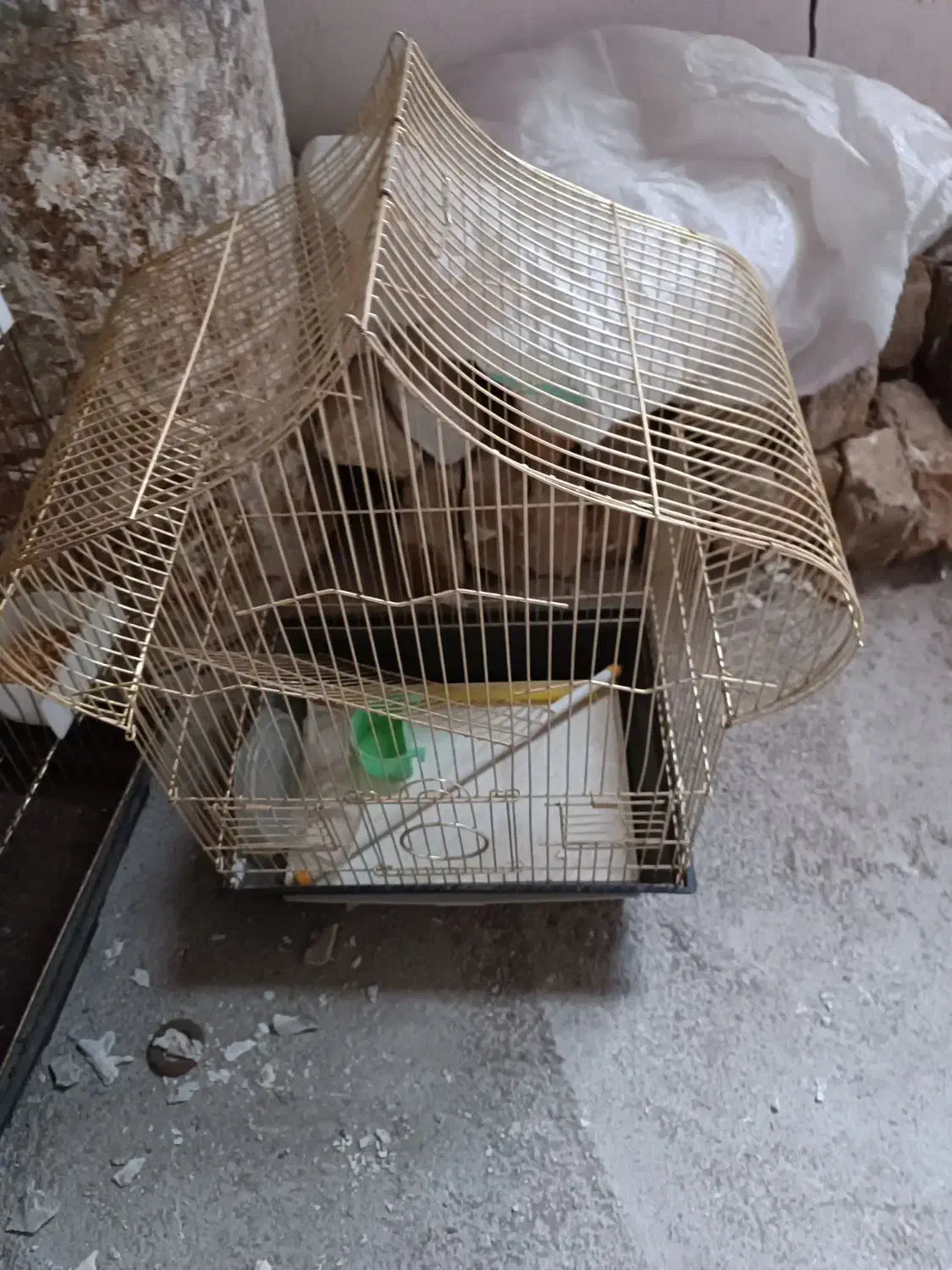 قفس عروس هلندی تکمیل وقفس قناری|لوازم جانبی حیوانات|اشتهارد, |دیوار