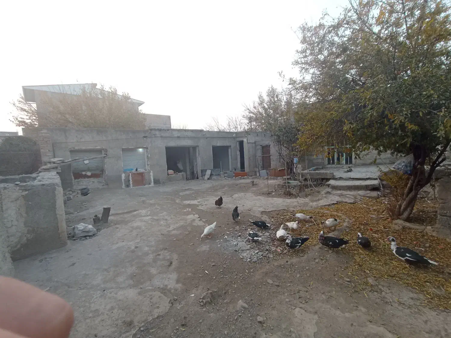 کلنگی|فروش زمین و ملک کلنگی|پارس‌آباد, |دیوار