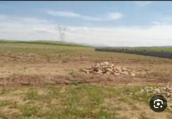 زمین|فروش زمین و ملک کلنگی|تربت جام, باغ سنگان سفلی|دیوار