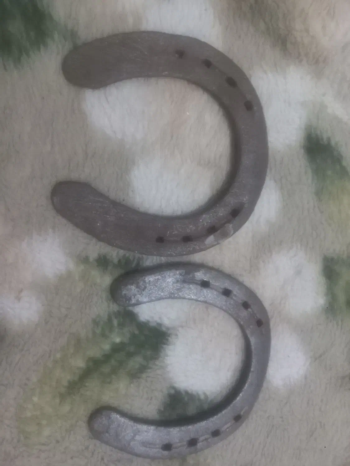 نعل اسب|کلکسیون اشیاء عتیقه|تربت جام, پاسداران|دیوار