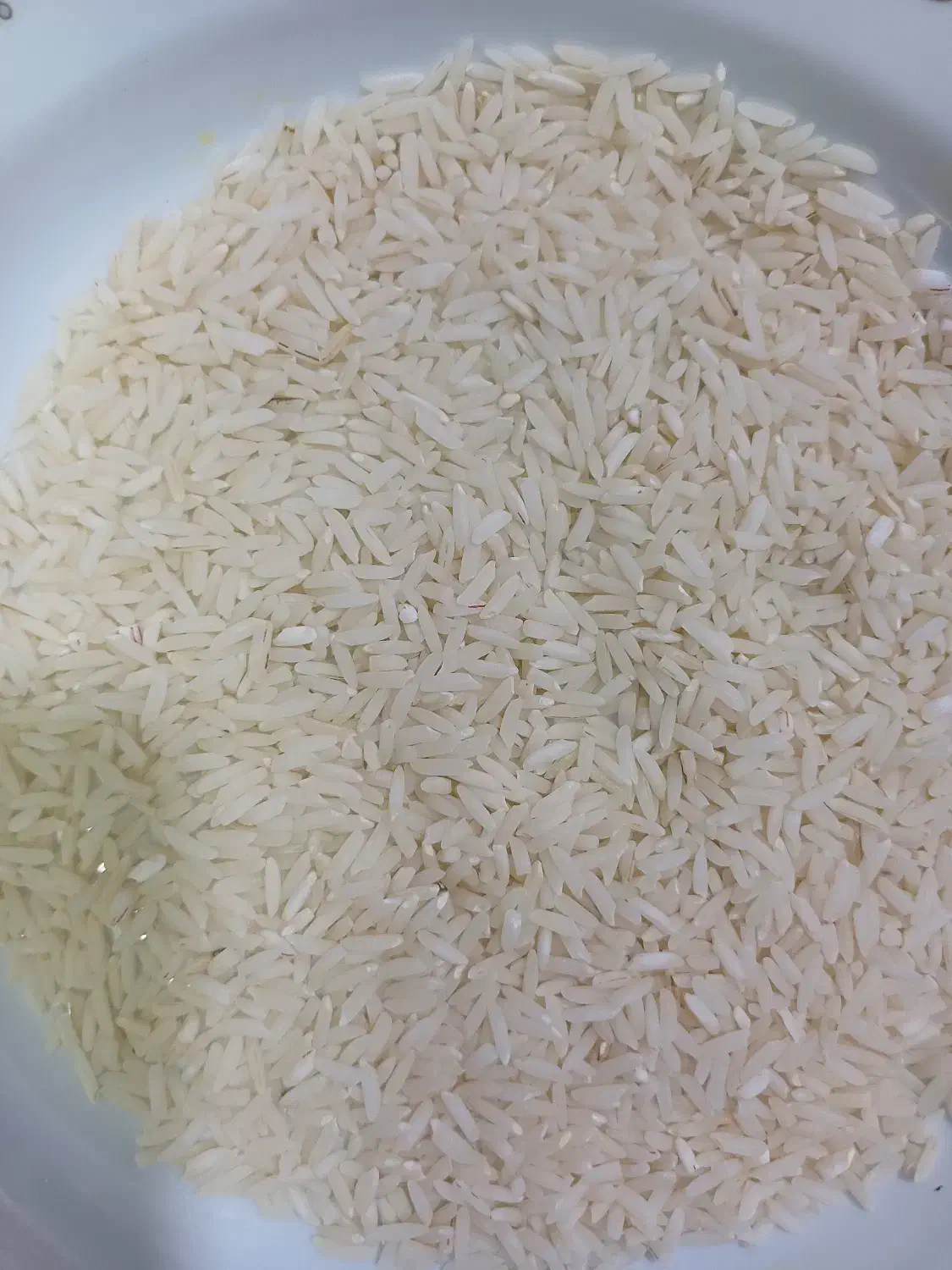 فروش برنج هاشمی درجه یک|خوردنی و آشامیدنی|رشت, یخسازی|دیوار