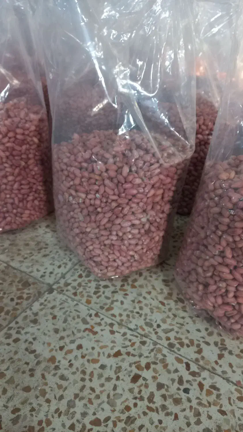 فروش بادام زمینی|خوردنی و آشامیدنی|قشلاق دشت, |دیوار