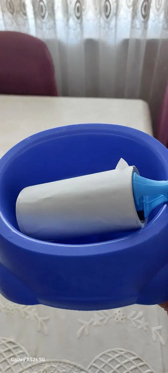 وسایل گربه|گربه|رشت, ترمینال|دیوار