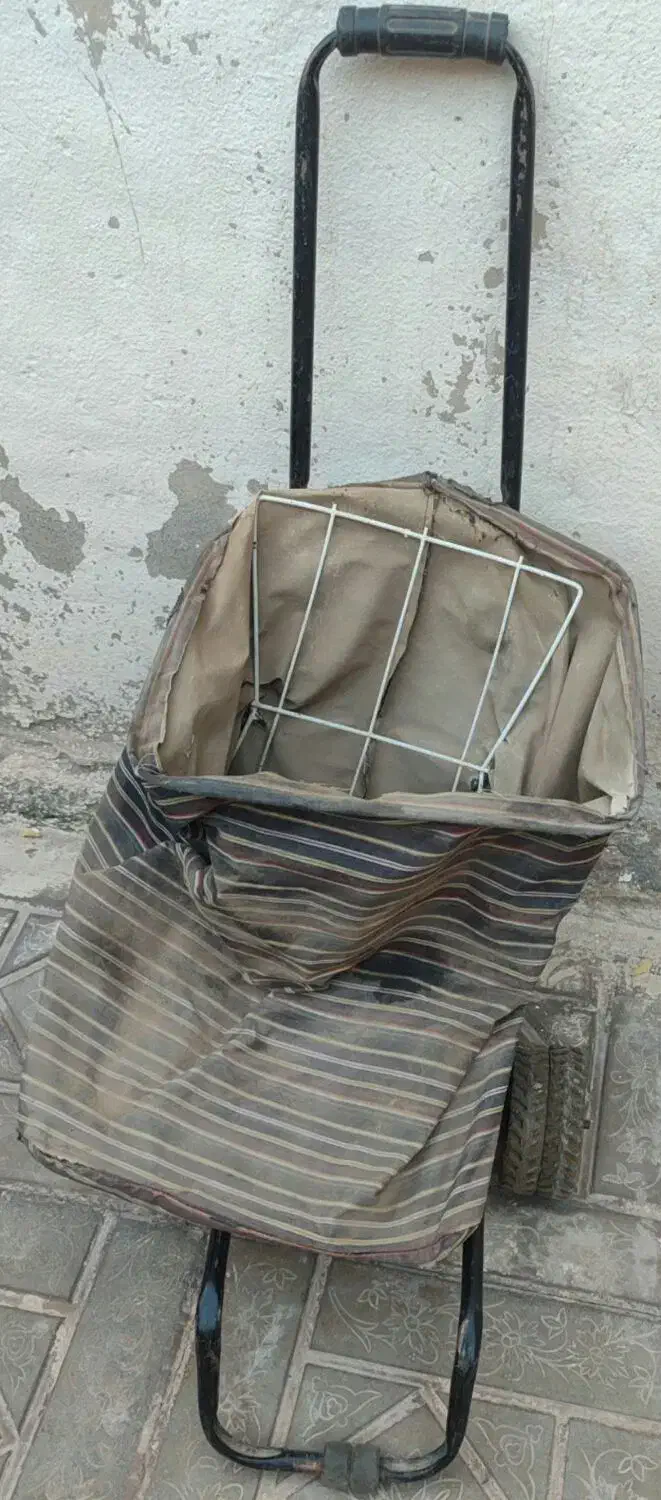 سبدخرید|فروشگاه و مغازه|بیرجند, |دیوار