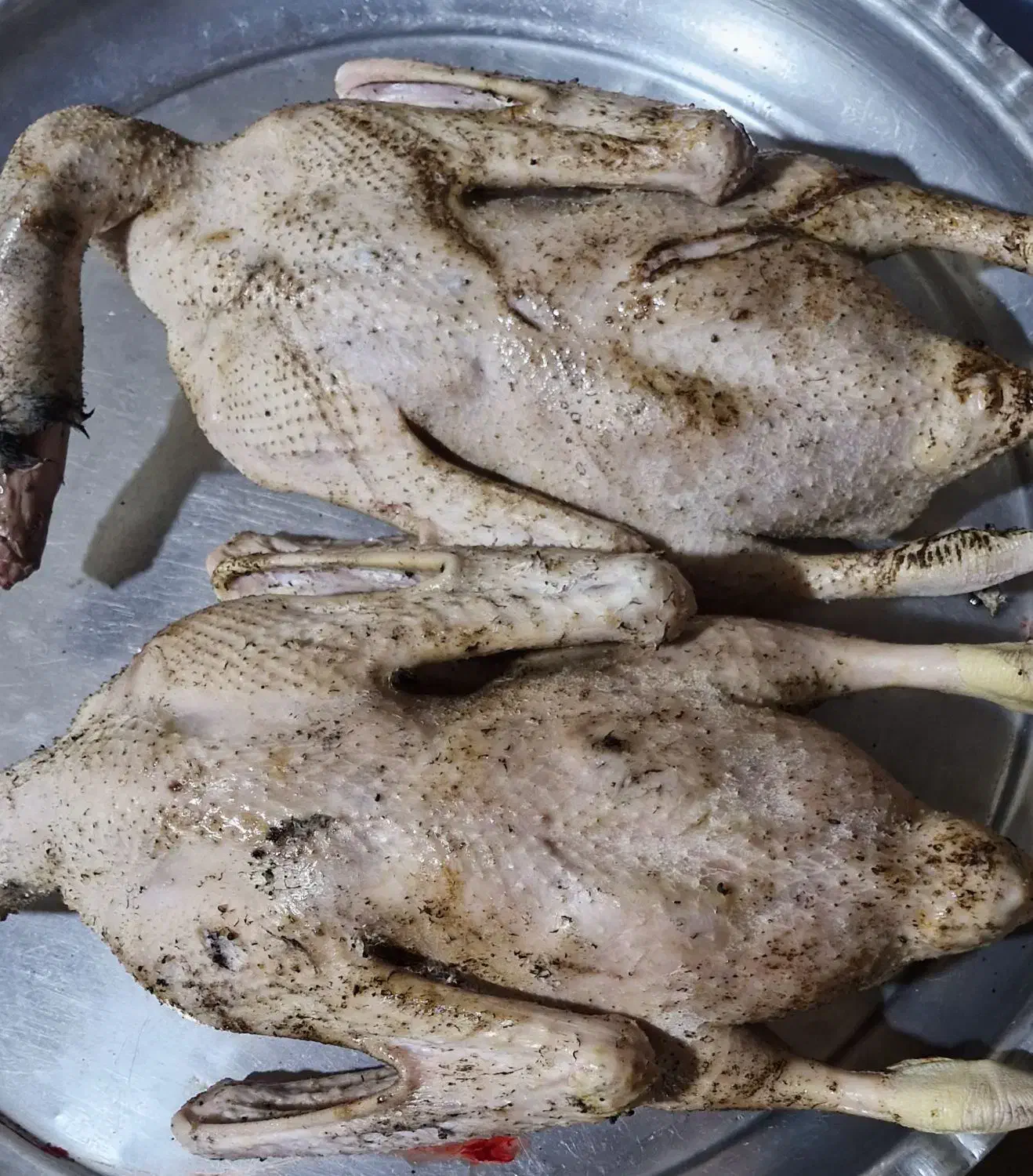 غاز واخضری کله سبز|حیوانات مزرعه|بندر امام خمینی, |دیوار