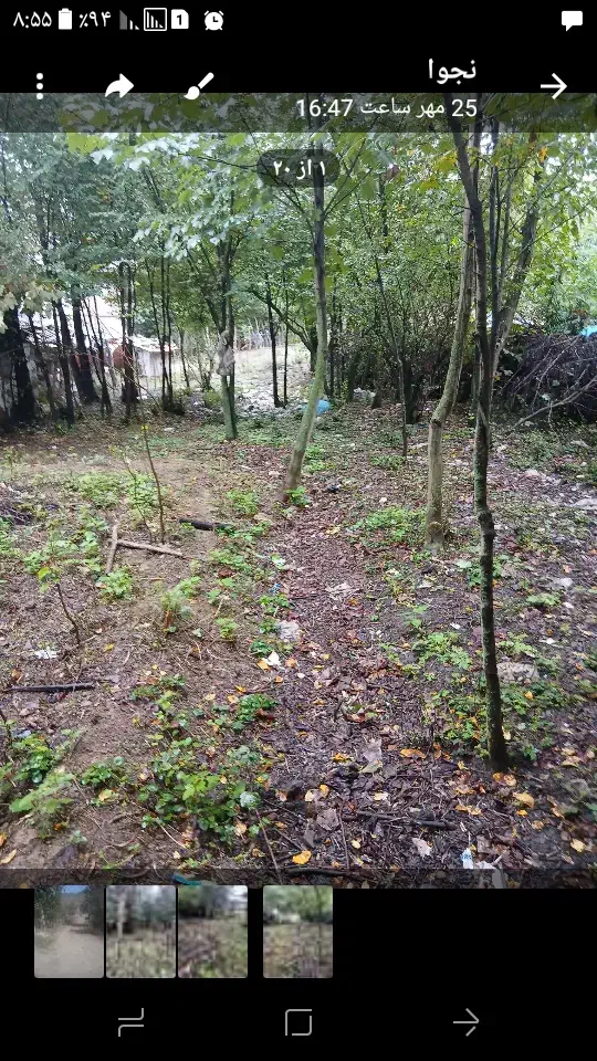 فروش زمین|فروش زمین و ملک کلنگی|توتکابن, |دیوار