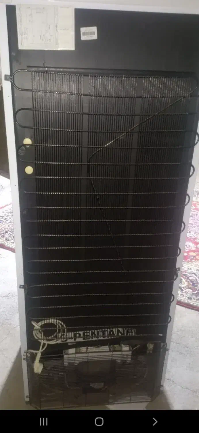 یخچال فیلور در حد|یخچال و فریزر|قم, مهر آباد|دیوار