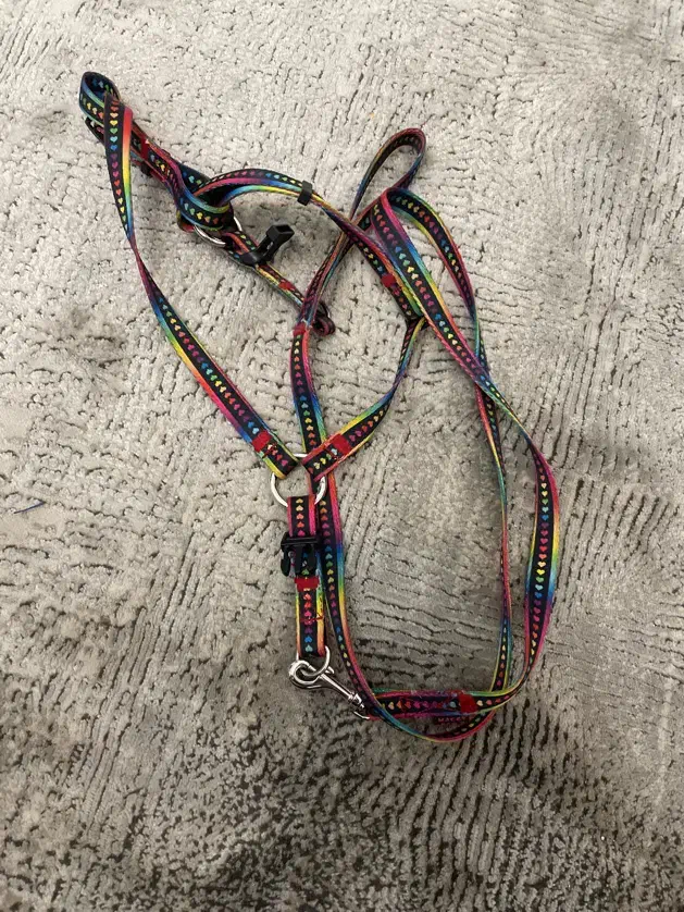 پارک سگ به همراه وسیله های دیگر قیمت عالی|لوازم جانبی حیوانات|تهران, جوادیه|دیوار