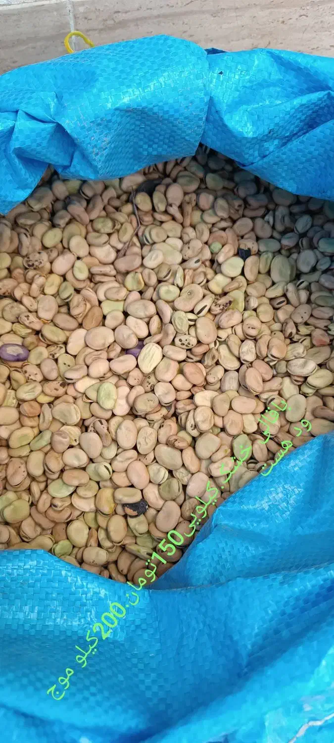 باقالی خشک|خوردنی و آشامیدنی|بهارستان, |دیوار