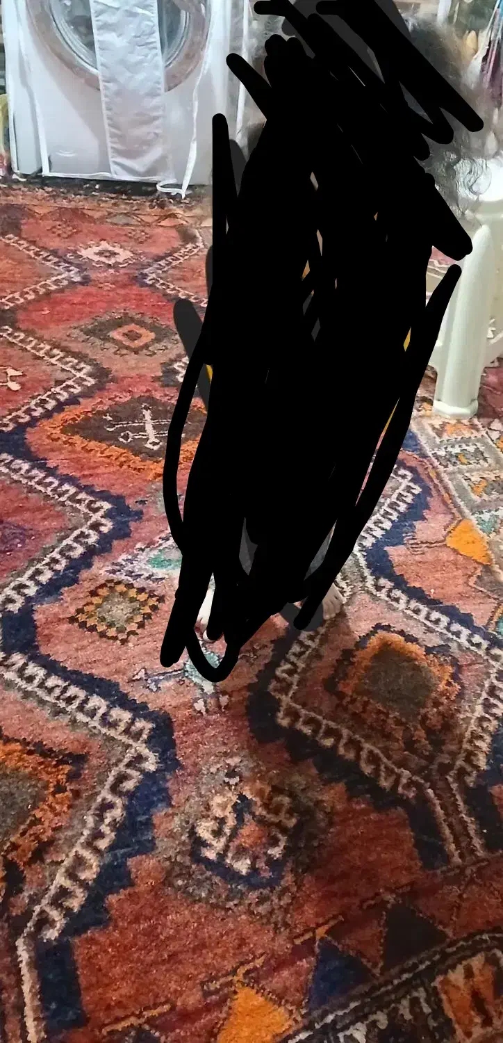 فرش دست بافت سنتی|فرش|قم, پردیسان|دیوار