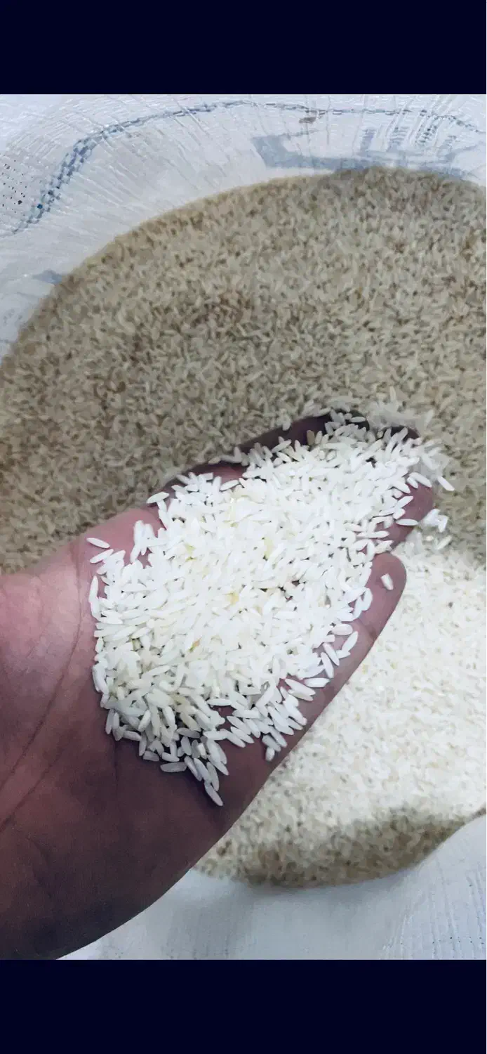 برنج علی کاظمی گیلان|خوردنی و آشامیدنی|فردیس, سپید دشت|دیوار