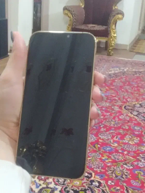 آیفون 12پرومگس|موبایل|اصفهان, دانشگاه اصفهان|دیوار