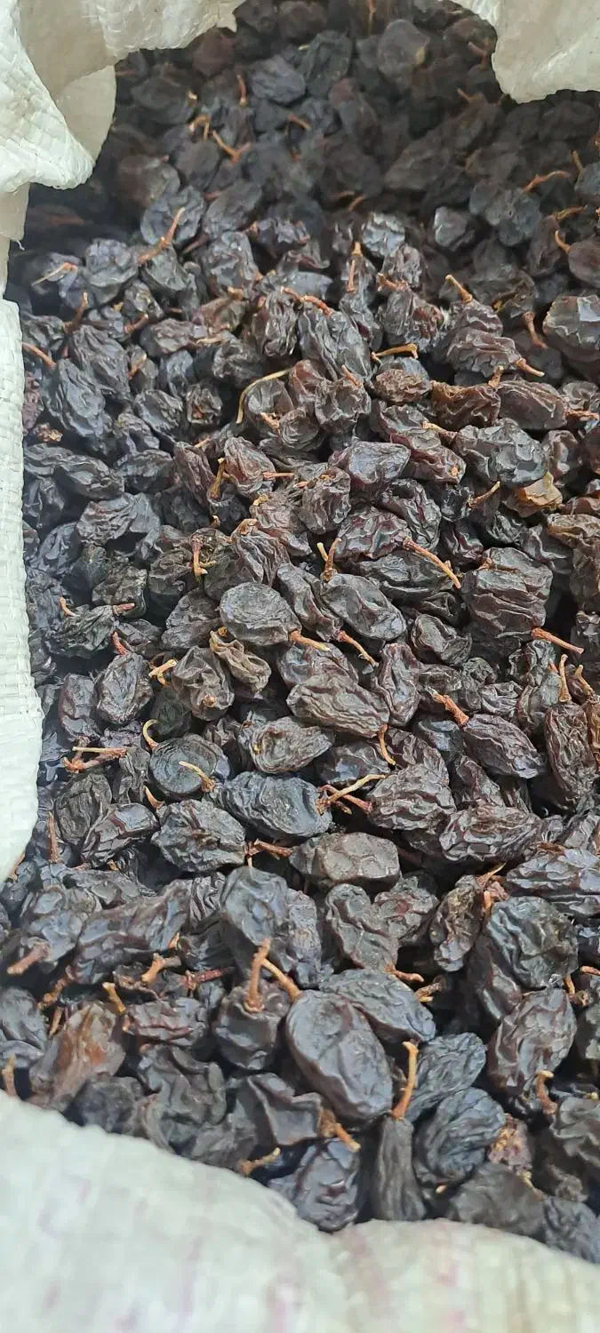 مویز انگور بش|خوردنی و آشامیدنی|شیراز, معالی‌آباد|دیوار