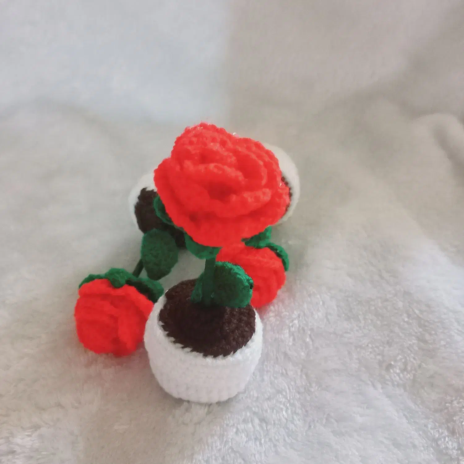 گلهای جاودان|گل مصنوعی|مرند, |دیوار