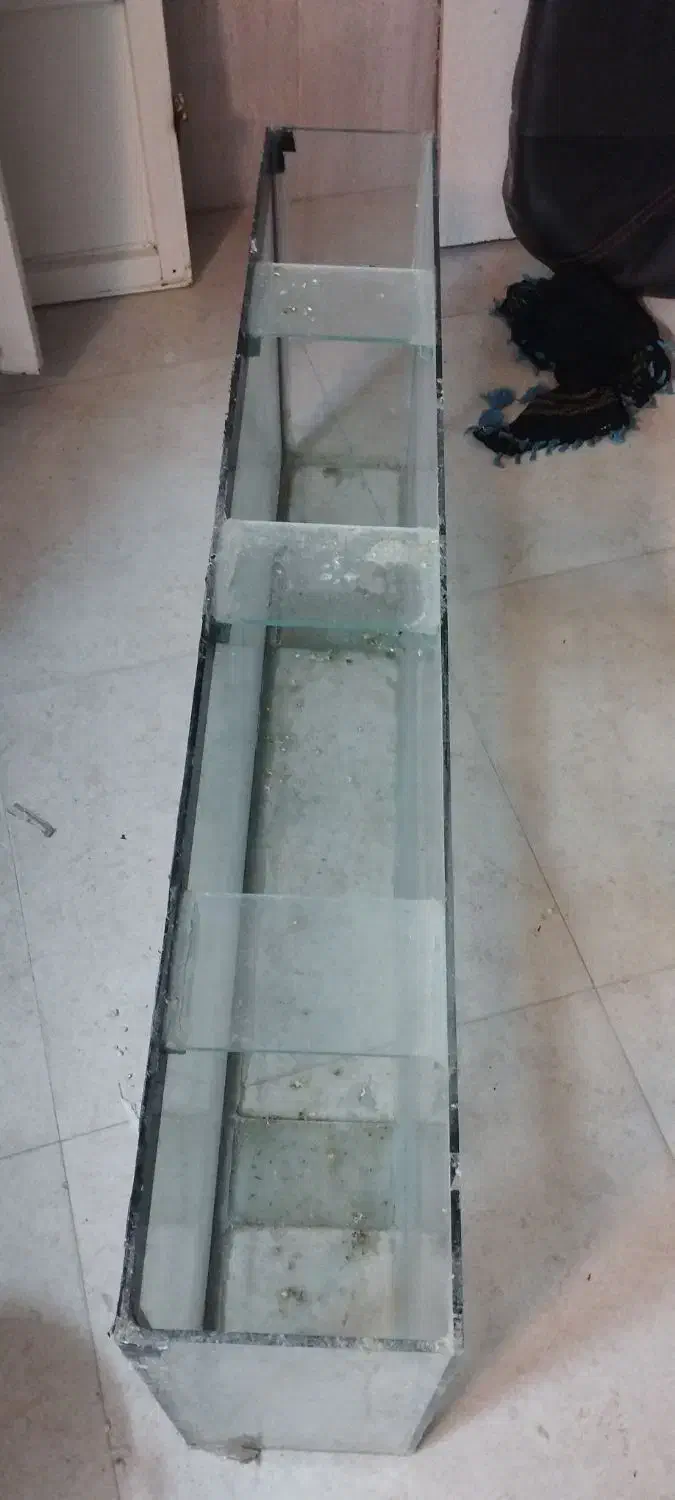 آکواریوم|ماهی|تربت جام, کلالی|دیوار