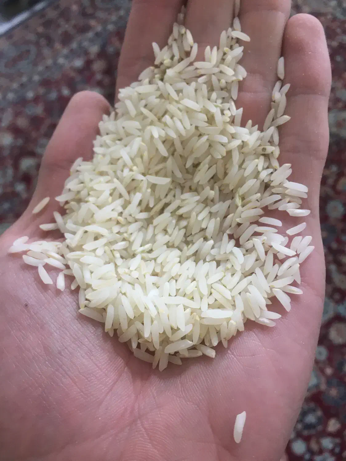 برنج نوک سیاه شمال خراسان|خوردنی و آشامیدنی|تهران, مرزداران|دیوار