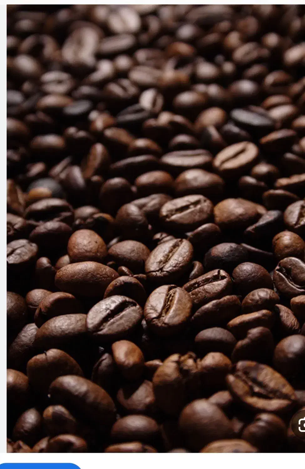 باریستا|استخدام خدمات فروشگاه و رستوران|تهران, پونک|دیوار